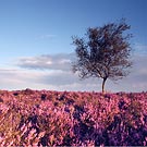 Chris Gilbert, Ravenseye Gallery, Peak District, Photographs, Courses